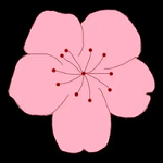 91安装包